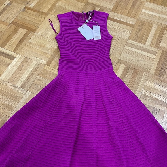 BNWT Ted baker dress size 0 - Picture 2 of 4